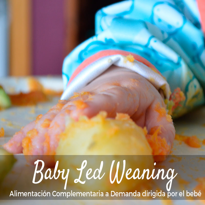 Alimentación complementaria a demanda dirigida por el bebé (Baby Led Weaning)